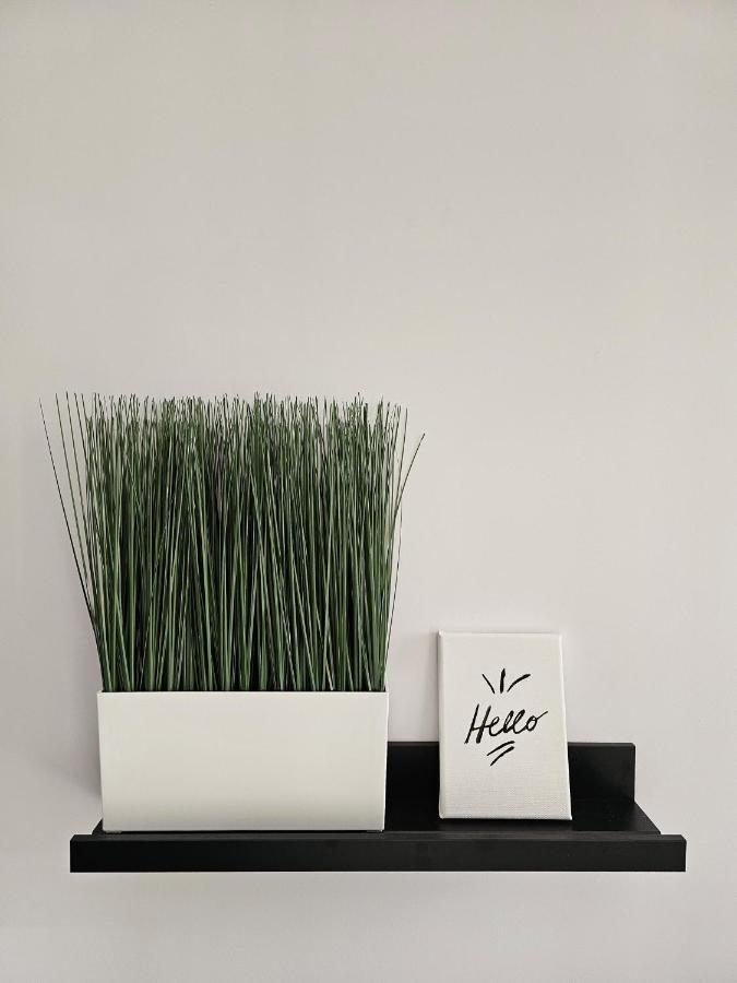 Modern Garden View Apt In Voula, Athens - Luxe 外观 照片